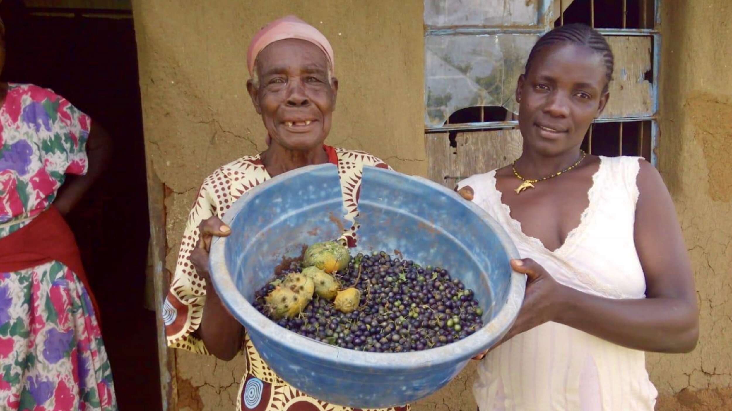  Grace (left), an 84 year old Nyanam widow leader, showing the African night shade seeds she has harvested from her kitchen garden. 