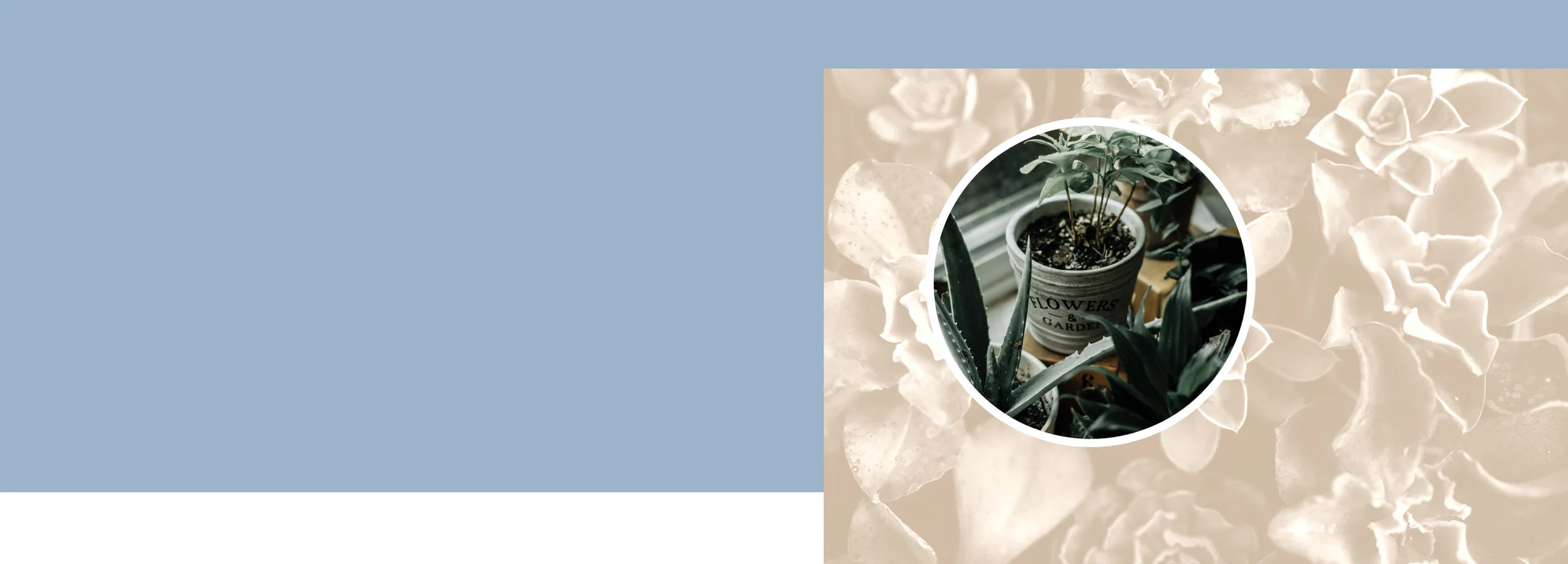 "Jason was a well informed, interesting and good choice for our training. He came prepared, he was a professional and he gave our staff many tools that they can carry with them."