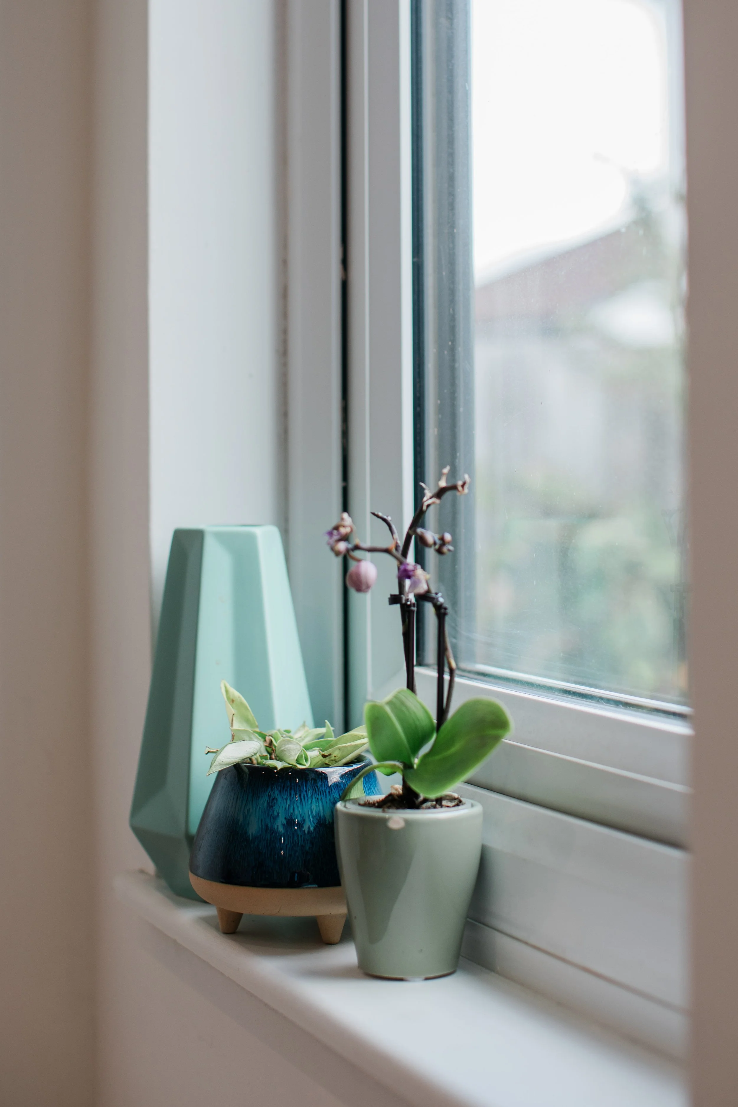 Decorative plants and vases on a windowsill.