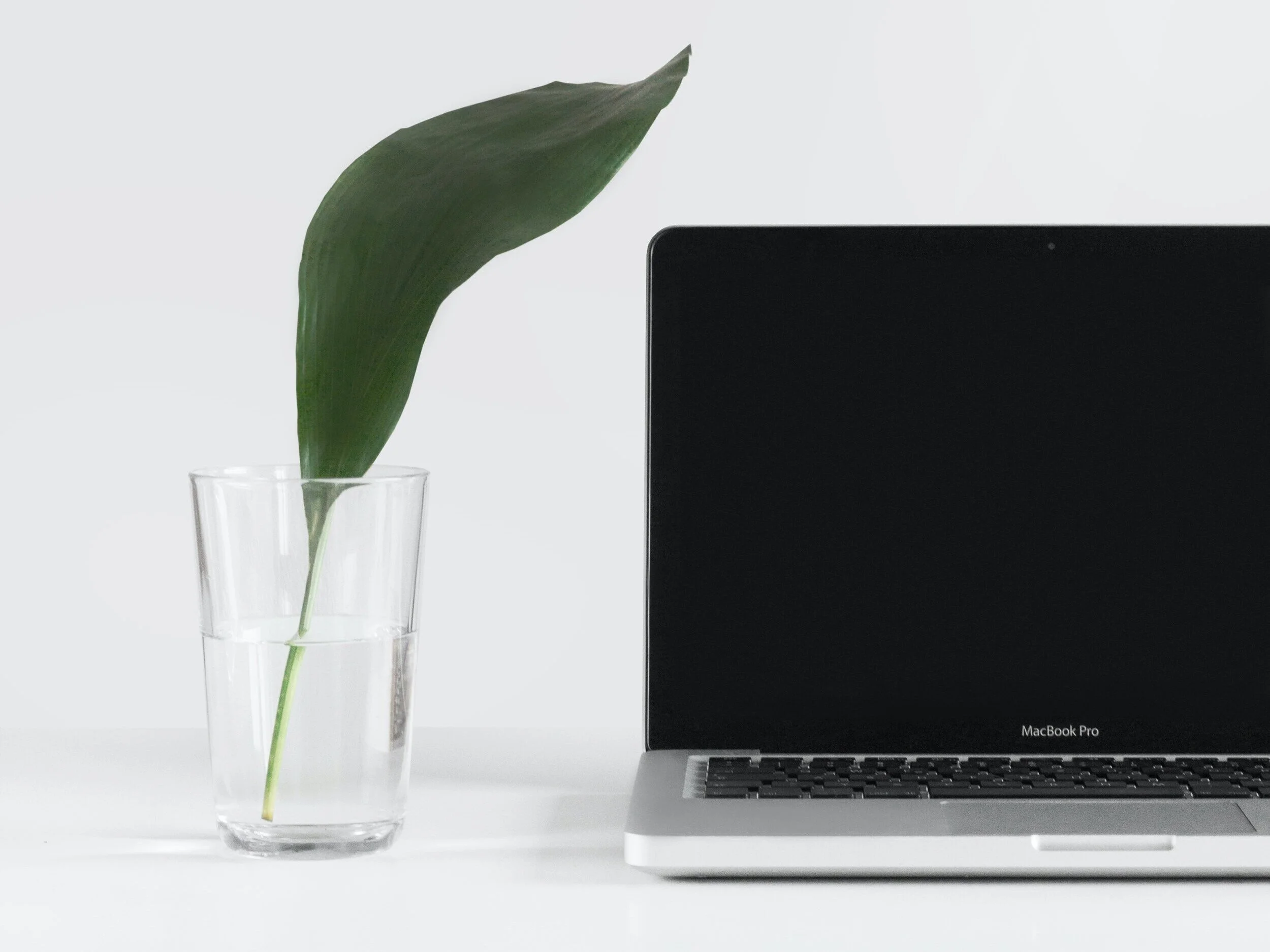 Patientenratgeber: Videosprechstunde