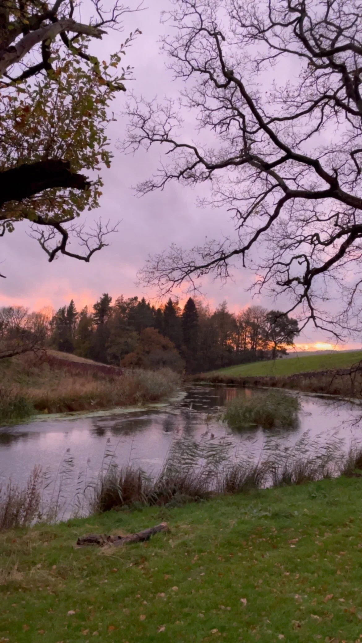 Casterton Grange Estate