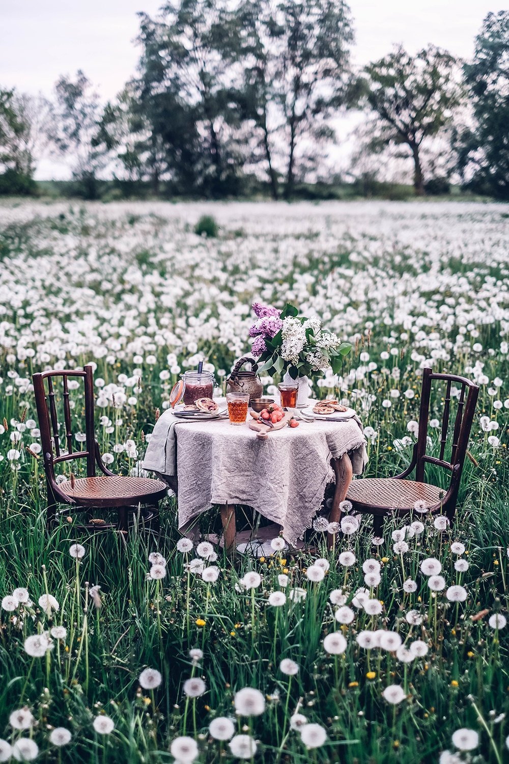 summer-picnic-dandelions.jpg