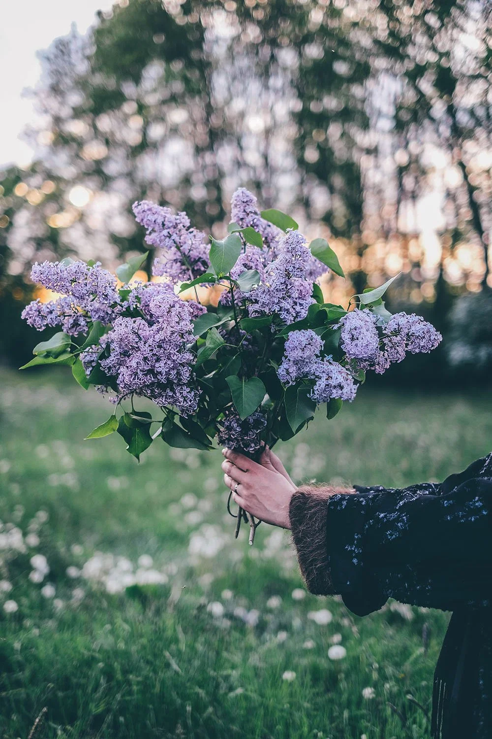 Lilac-Bouquet.jpg