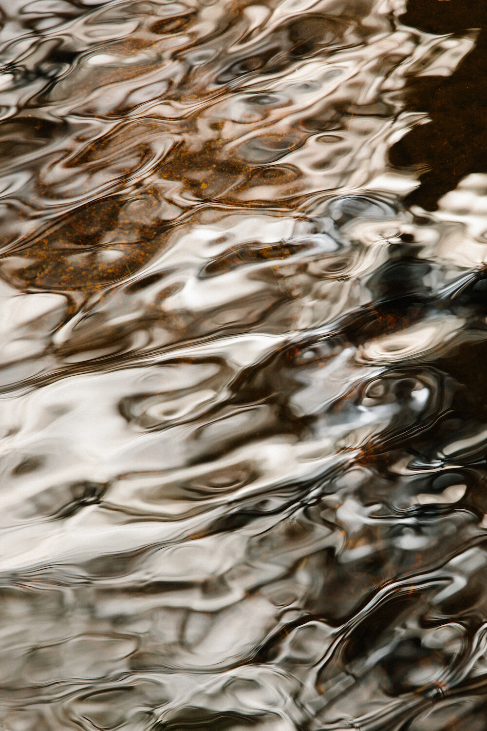 Glen Dye - Landscapes-29.jpg