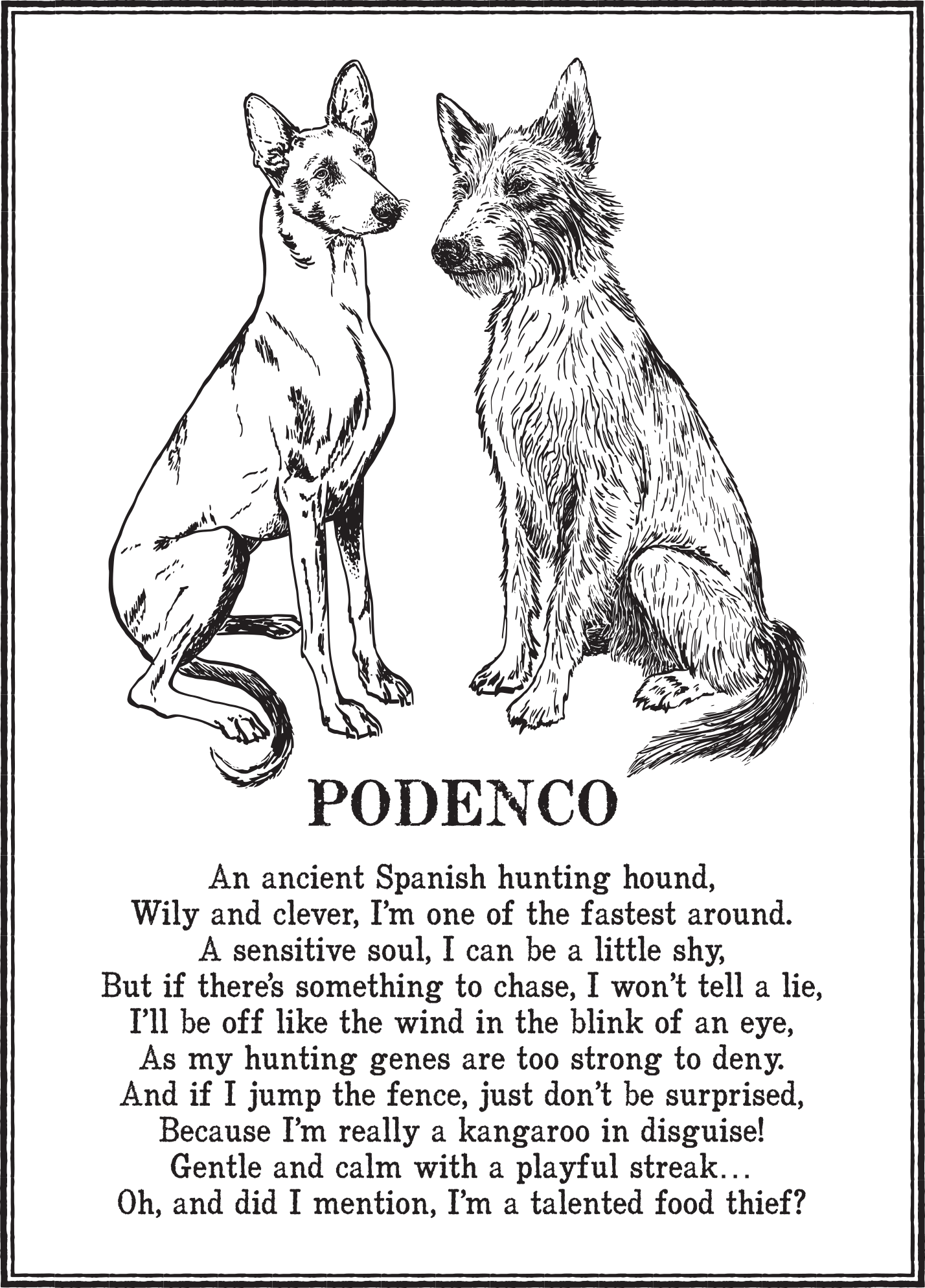 Podenco.png