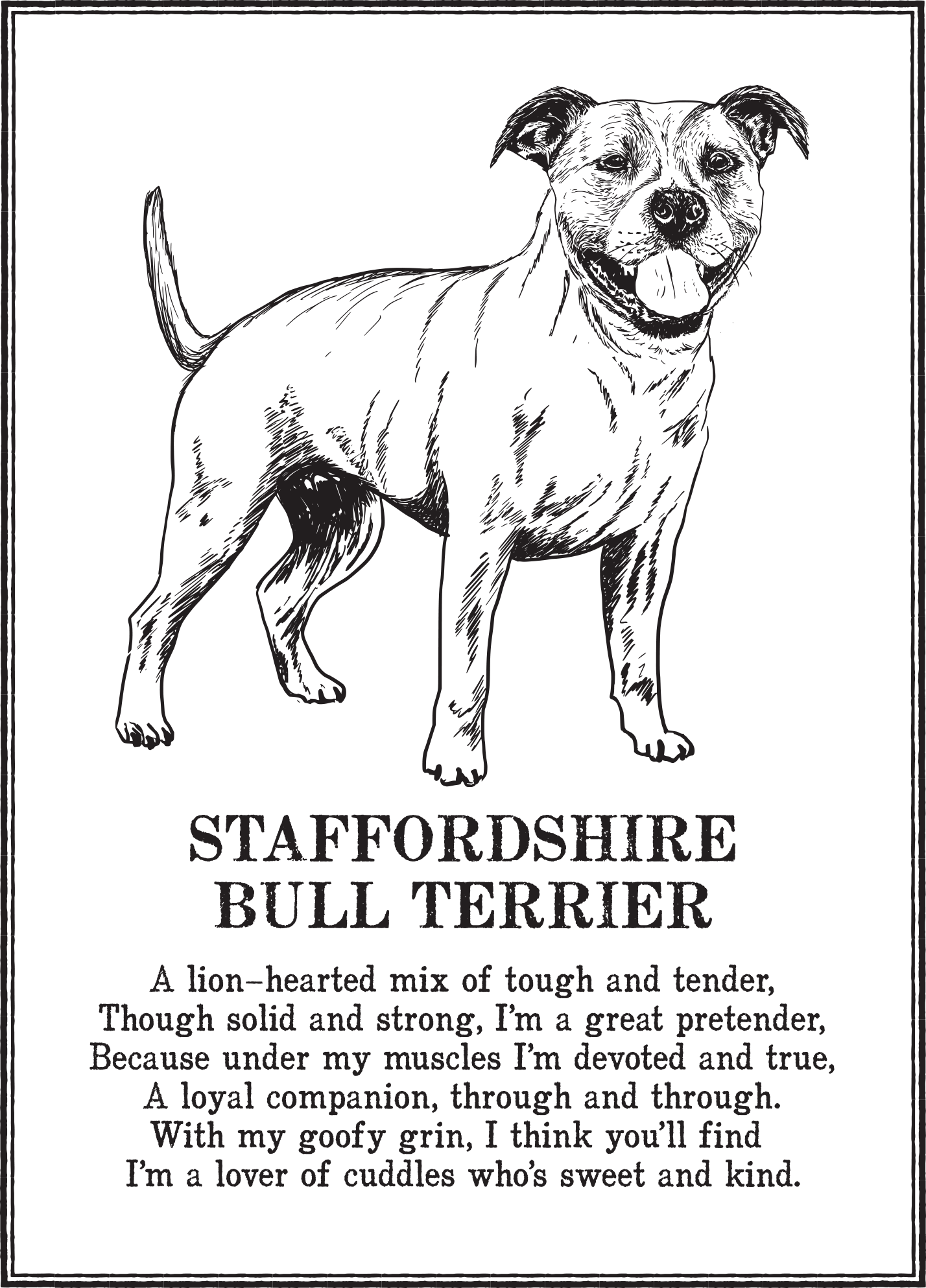 Staffordshire Bull Terrier.png