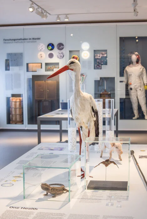 Walkthrough of the Museum at the Robert Koch Institute