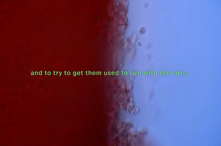 FLUID DIALOGUES