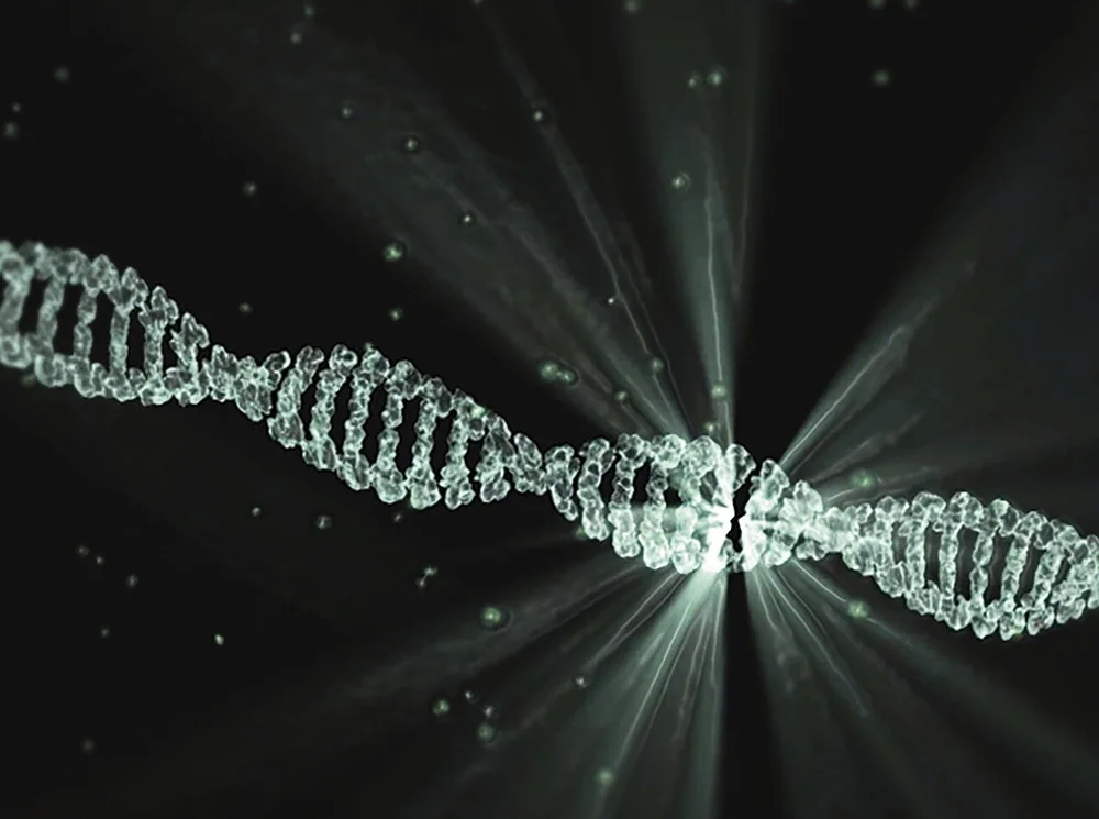TRIVIAL DNA CHANGES