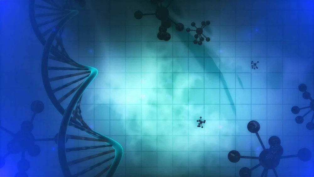 DNA DAMAGE