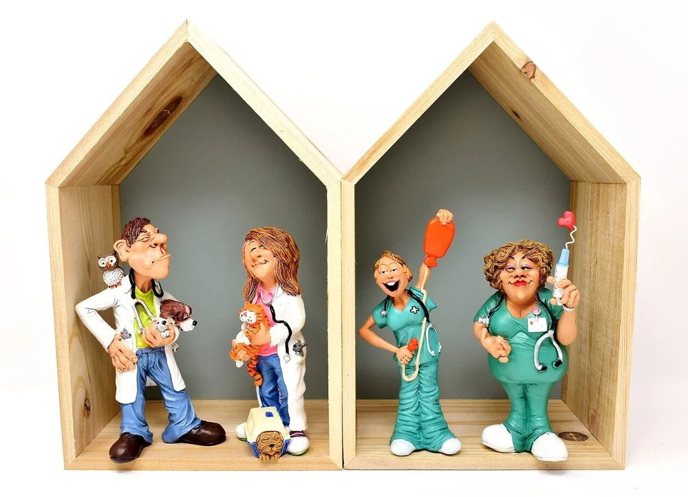 VETS &amp; PHYSICIANS