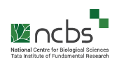NCBS-logo.png