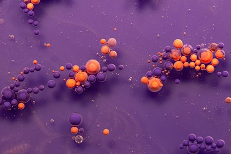 CONTAGIOUS CITIES