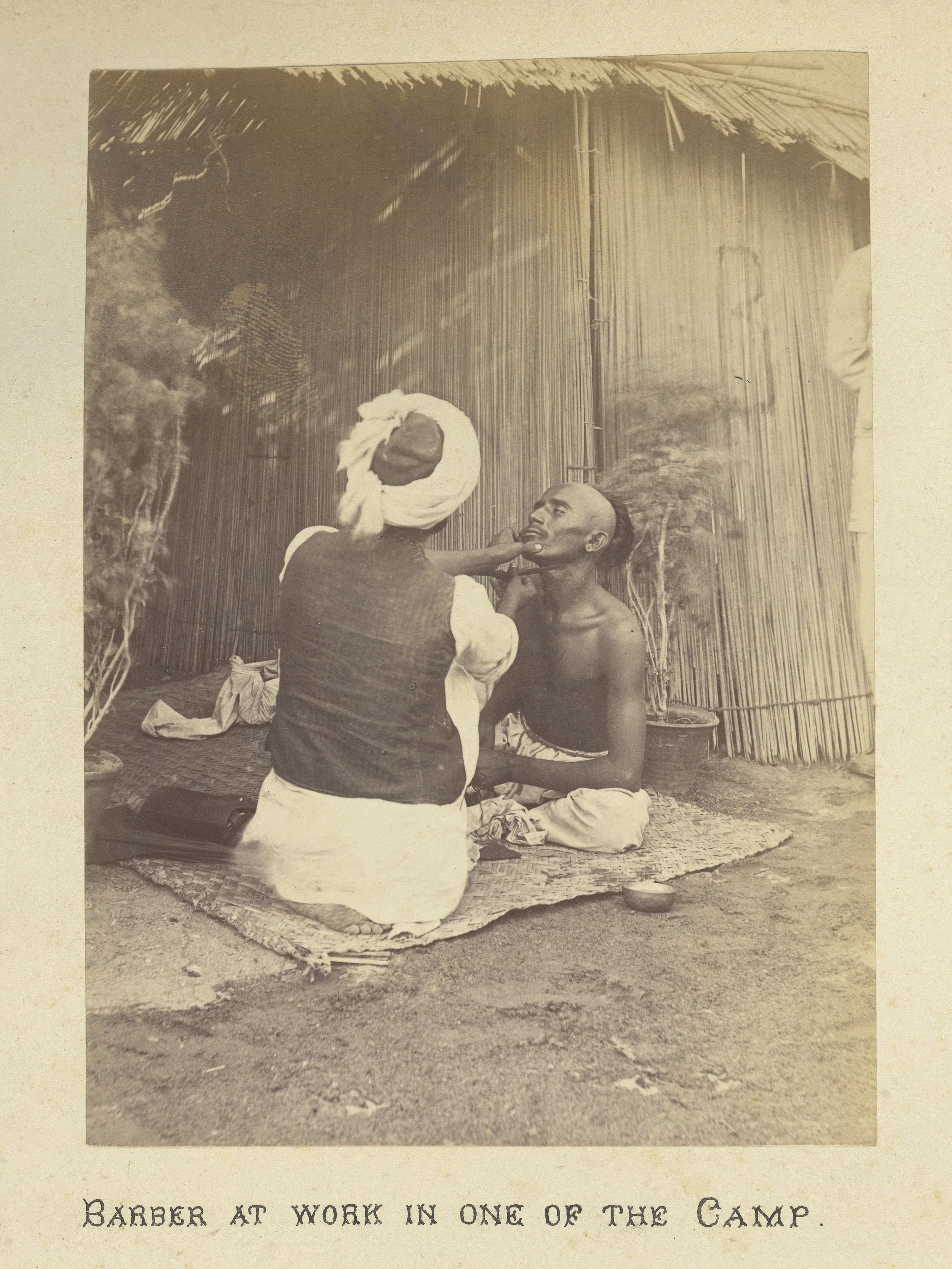 Controlling the Plague in British India — Science Gallery Bengaluru