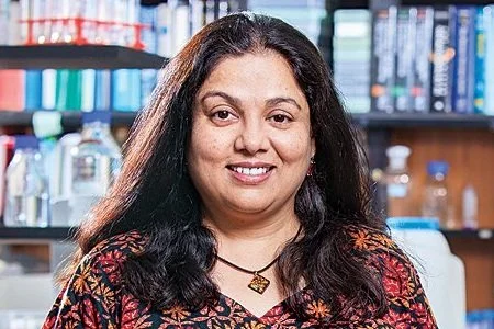 Sensory Perception: From Genes to Brain Circuits 