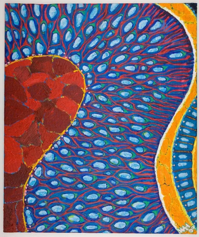 Teenage Riot: Analysing the Adolescent Brain