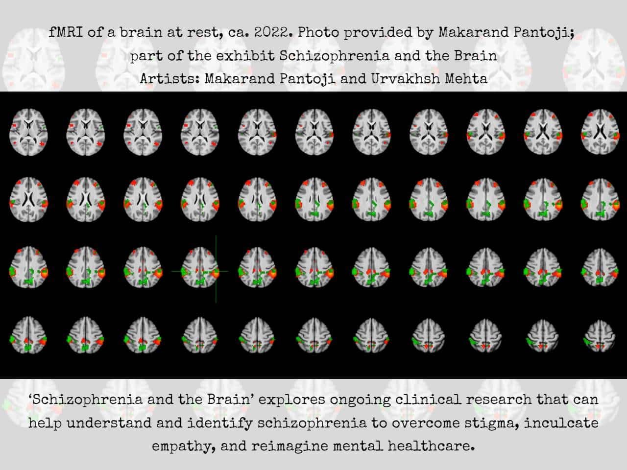PSYCHE: An exhibition at Science Gallery Bengaluru recalibrates our knowledge of the human mind