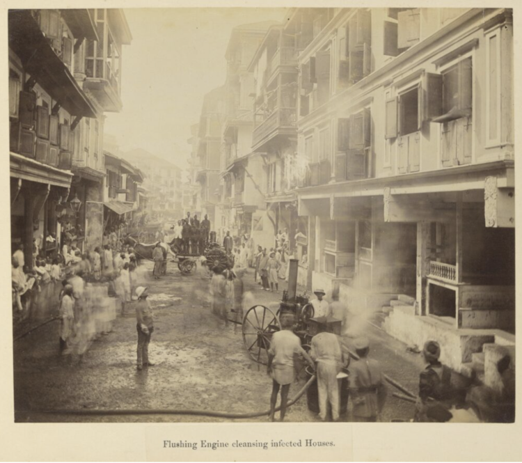 Cultures of contagion