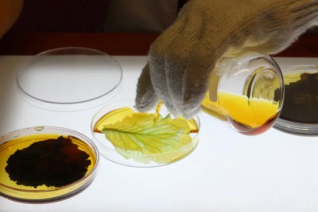 How the lockdown has compelled a reimaging of exhibitions in the digital space