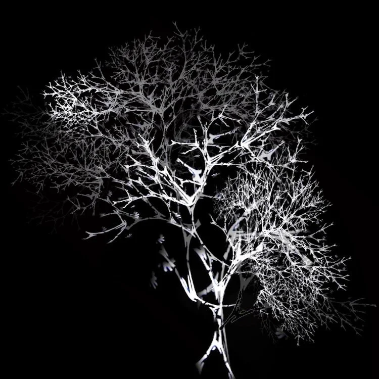 Explore the past, present and future of plants