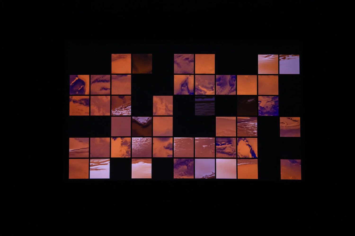 Singing stones, living installations at Science Gallery Bengaluru's outing
