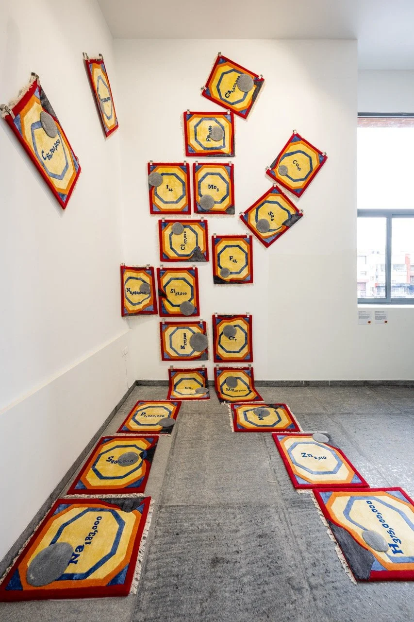 The Coarse Fabric of Being Human