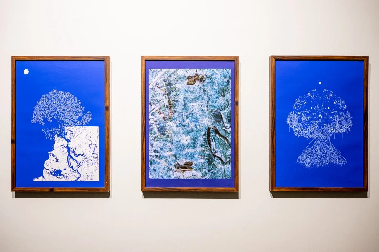 (Understanding) Mangrove Carbon