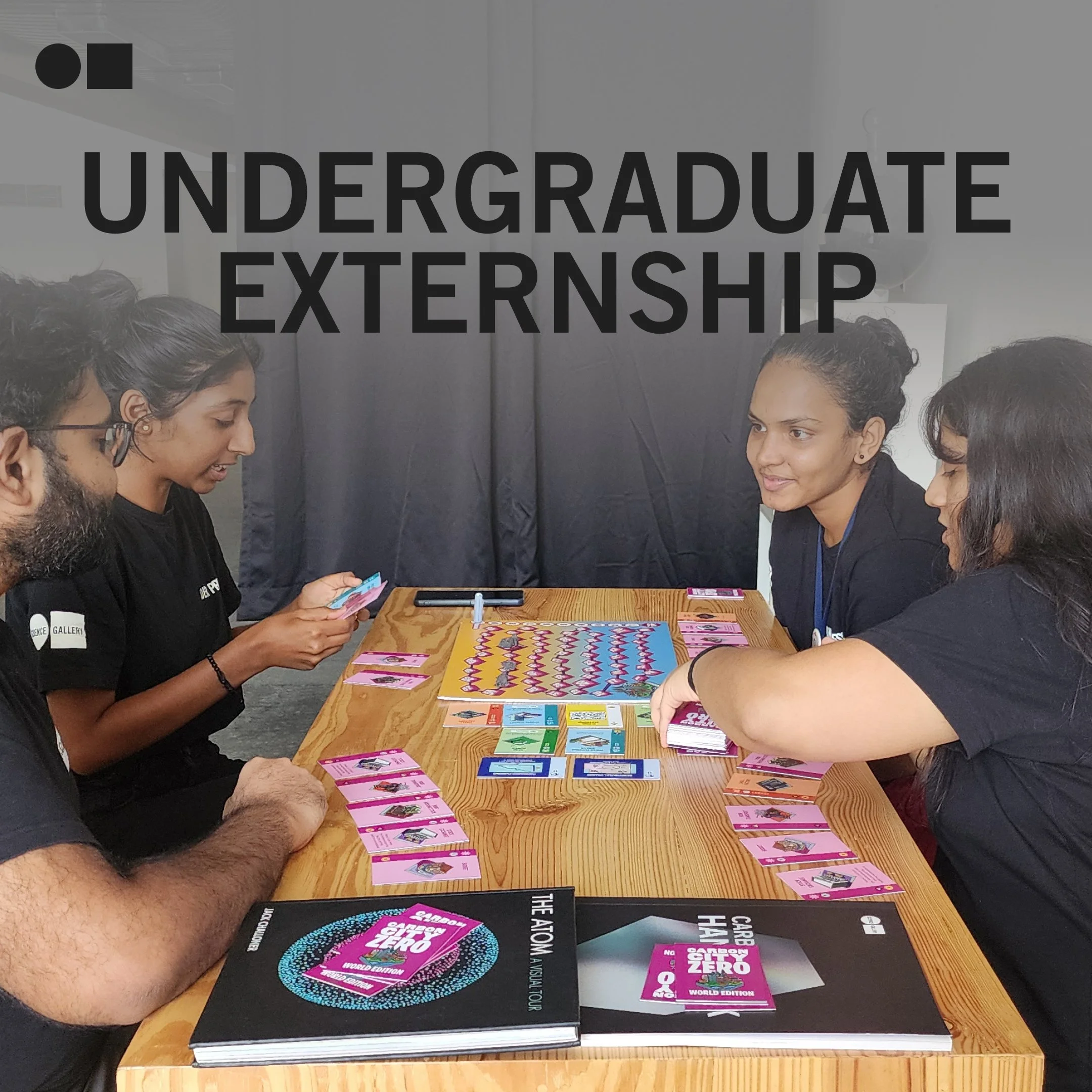 Undergraduate Externships