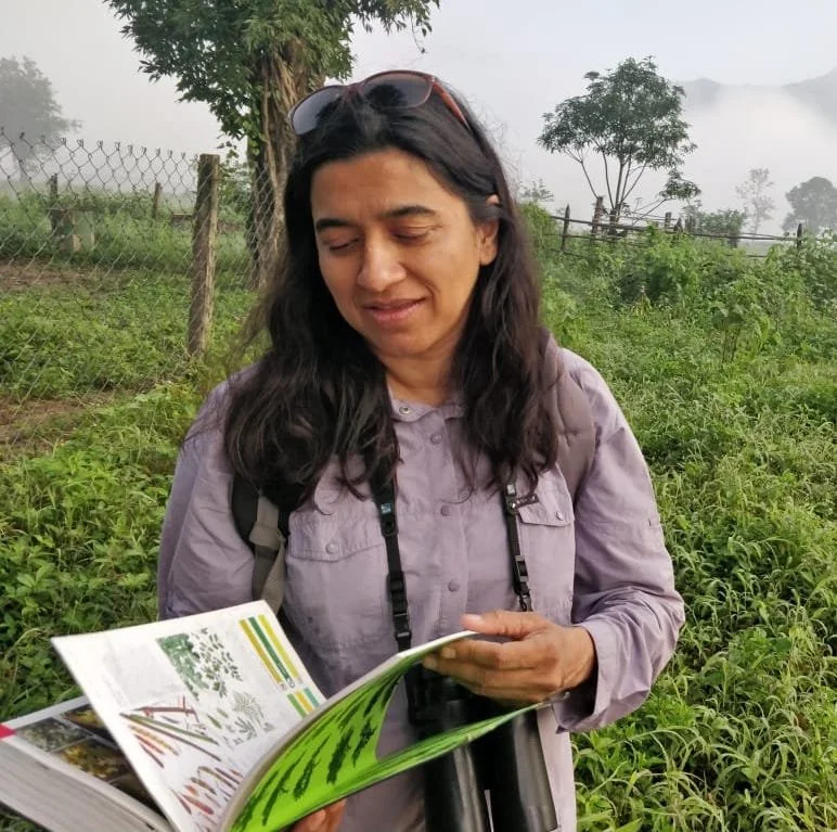 The Savannas and Grasslands of India: Misclassified, Undervalued and Threatned