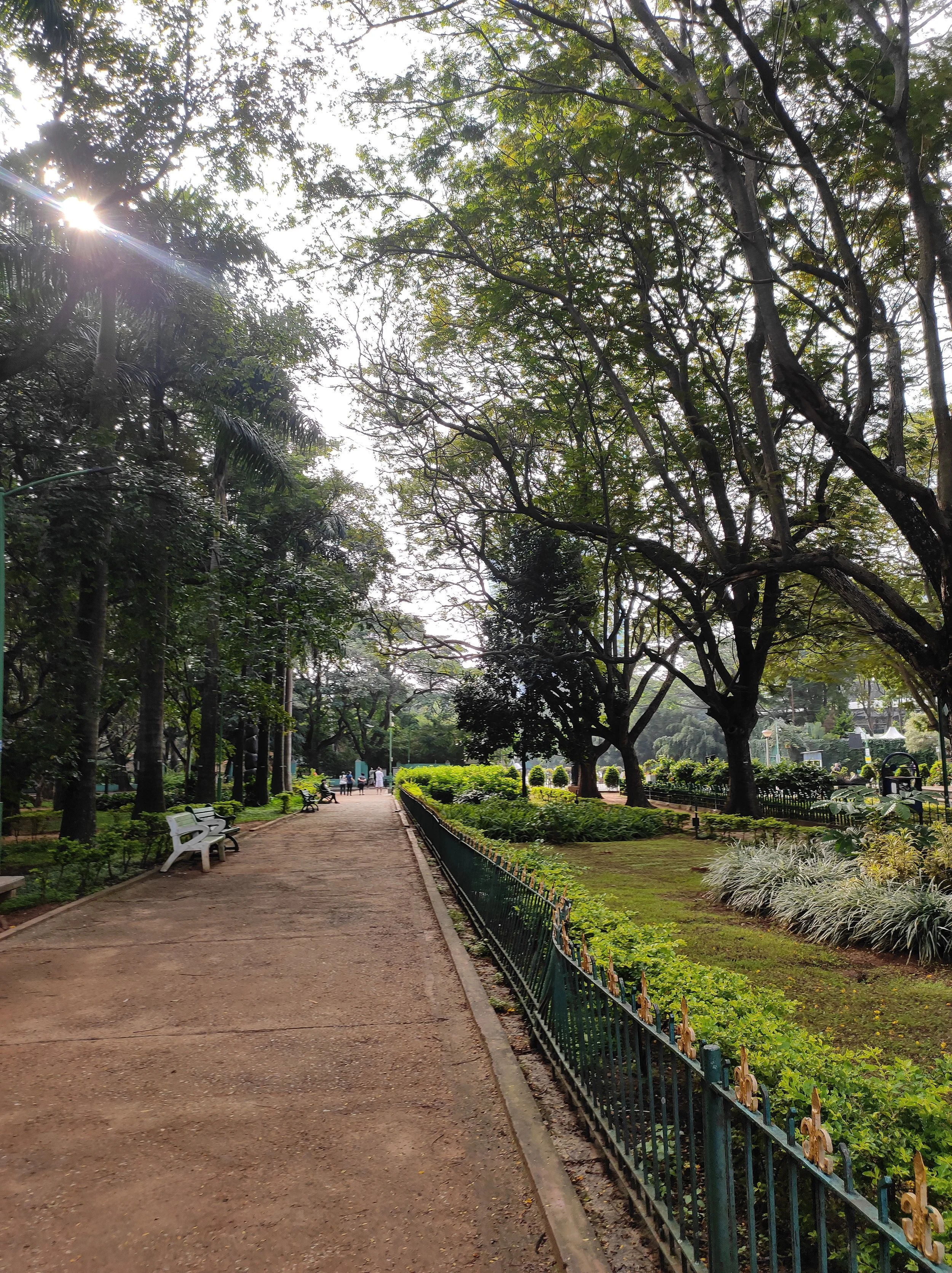 Aditi N_Raste_morning_cubbon_park_path.jpg