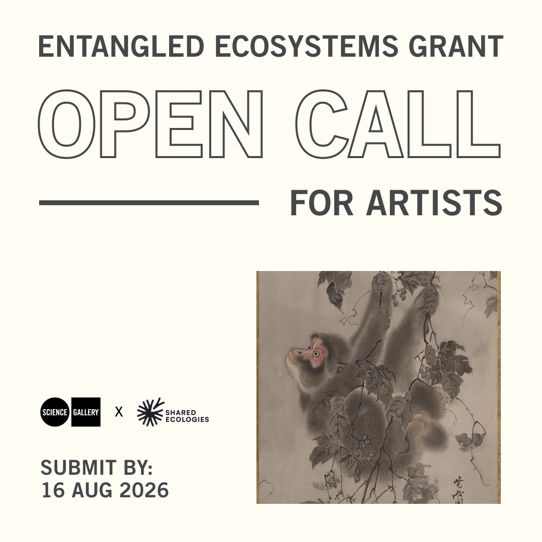 Open Call | Entangled Ecosystems Grant II 