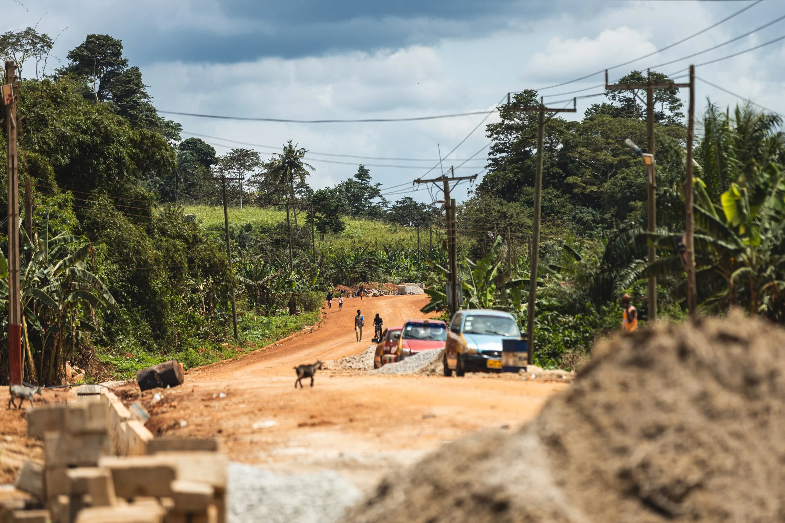 A dirt road in a rural area with greenery and telephone poles, with cars and people walking and a dog on the road.