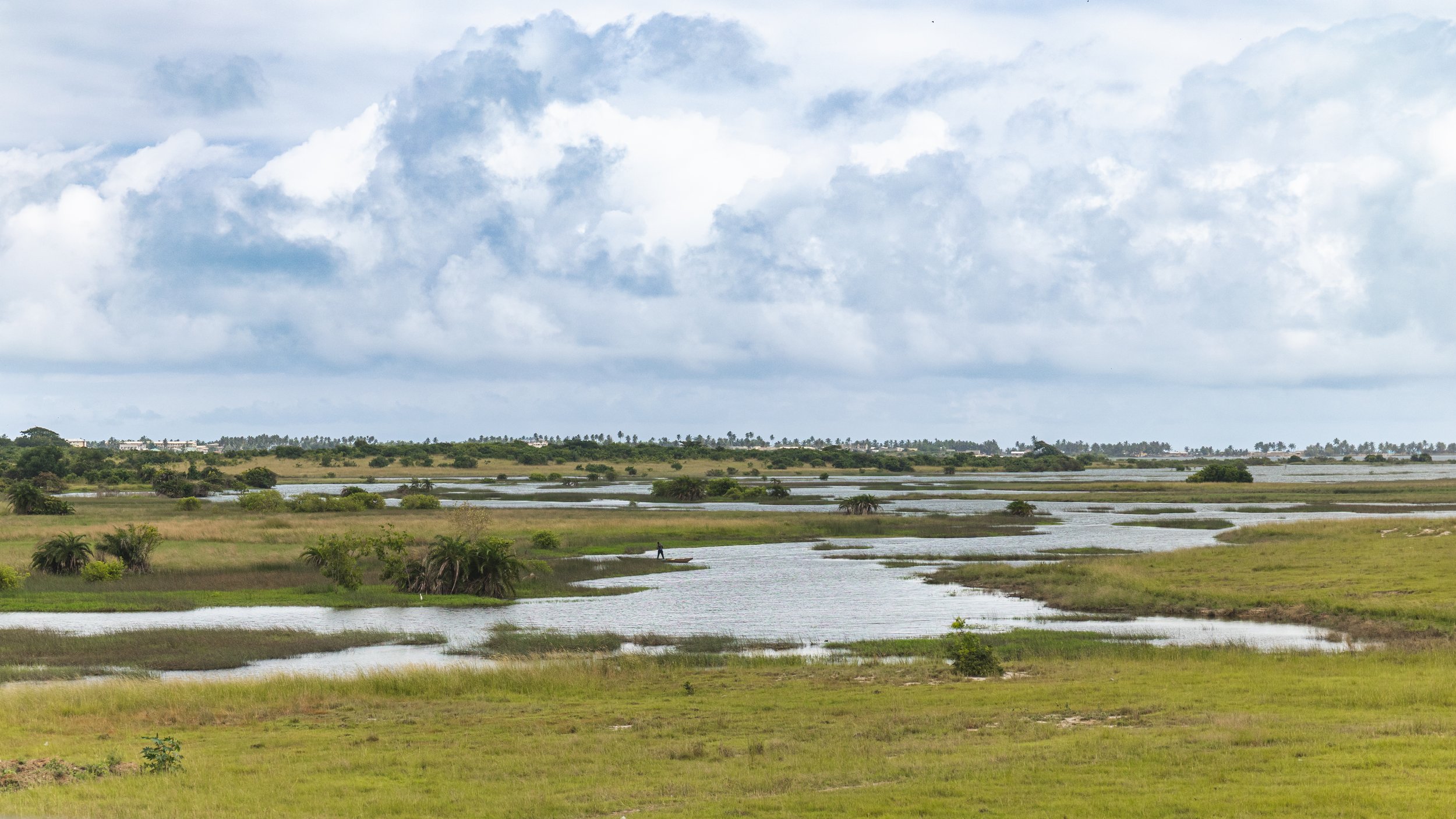 A vast marshland with patches of water, tall grasses, and scattered bushes, under a partly cloudy sky.
