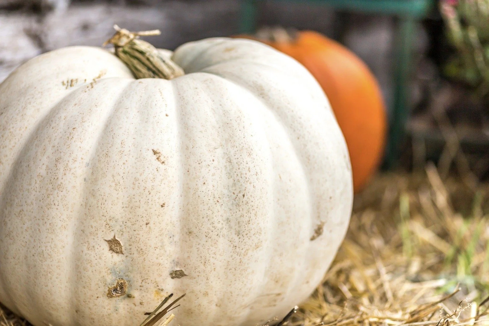 Navigating Pregnancy and Infant Loss During the Halloween Season