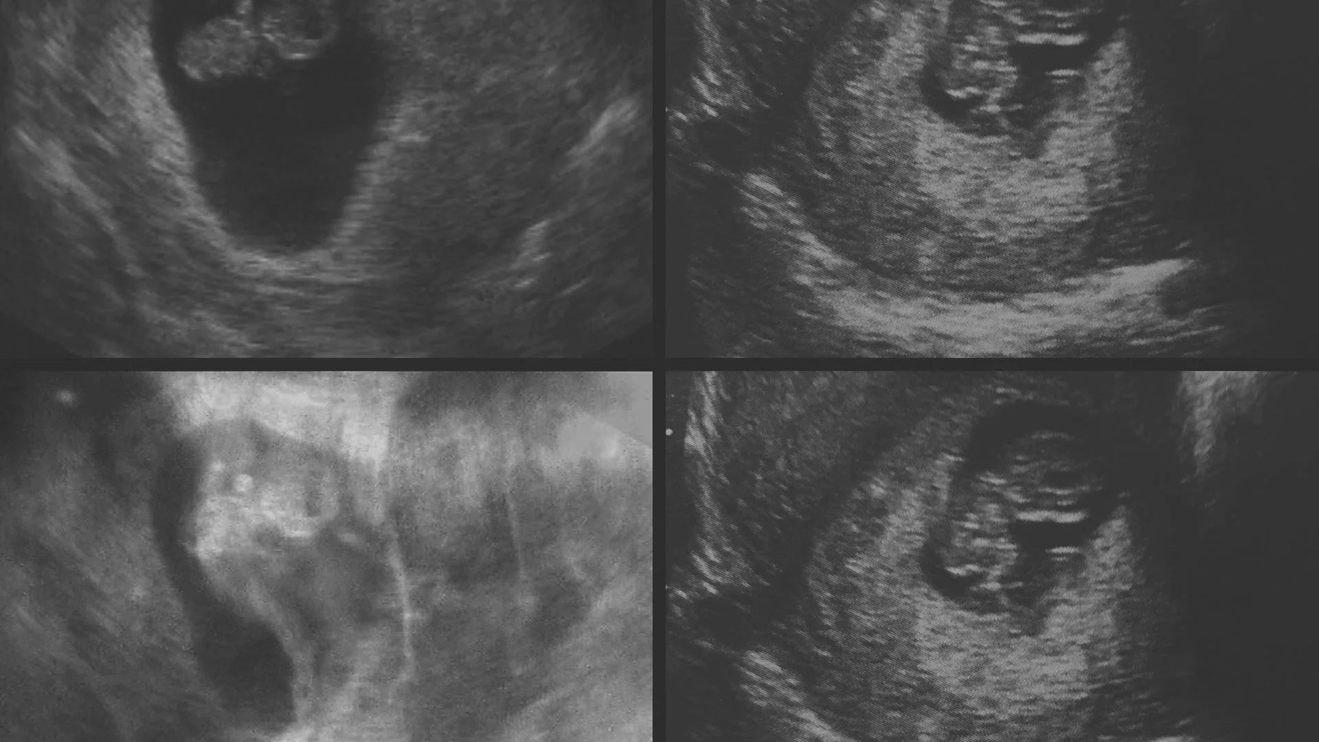 A arte de Juliana Crispe