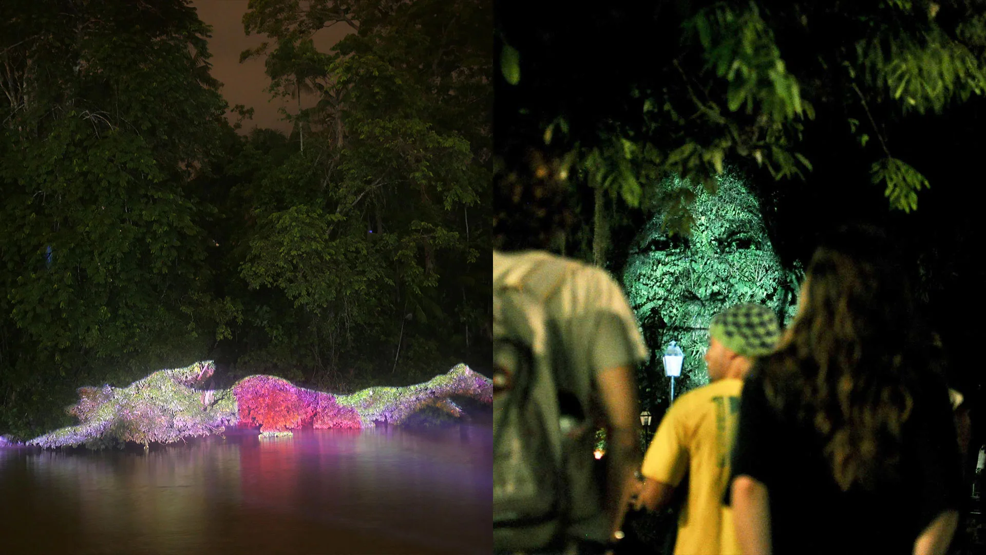 Entrevista Roberta Carvalho - Exposição In Natura e Intervenção Symbiosis