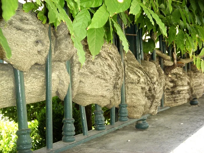 Certezas Instáveis da artista Angella Conte