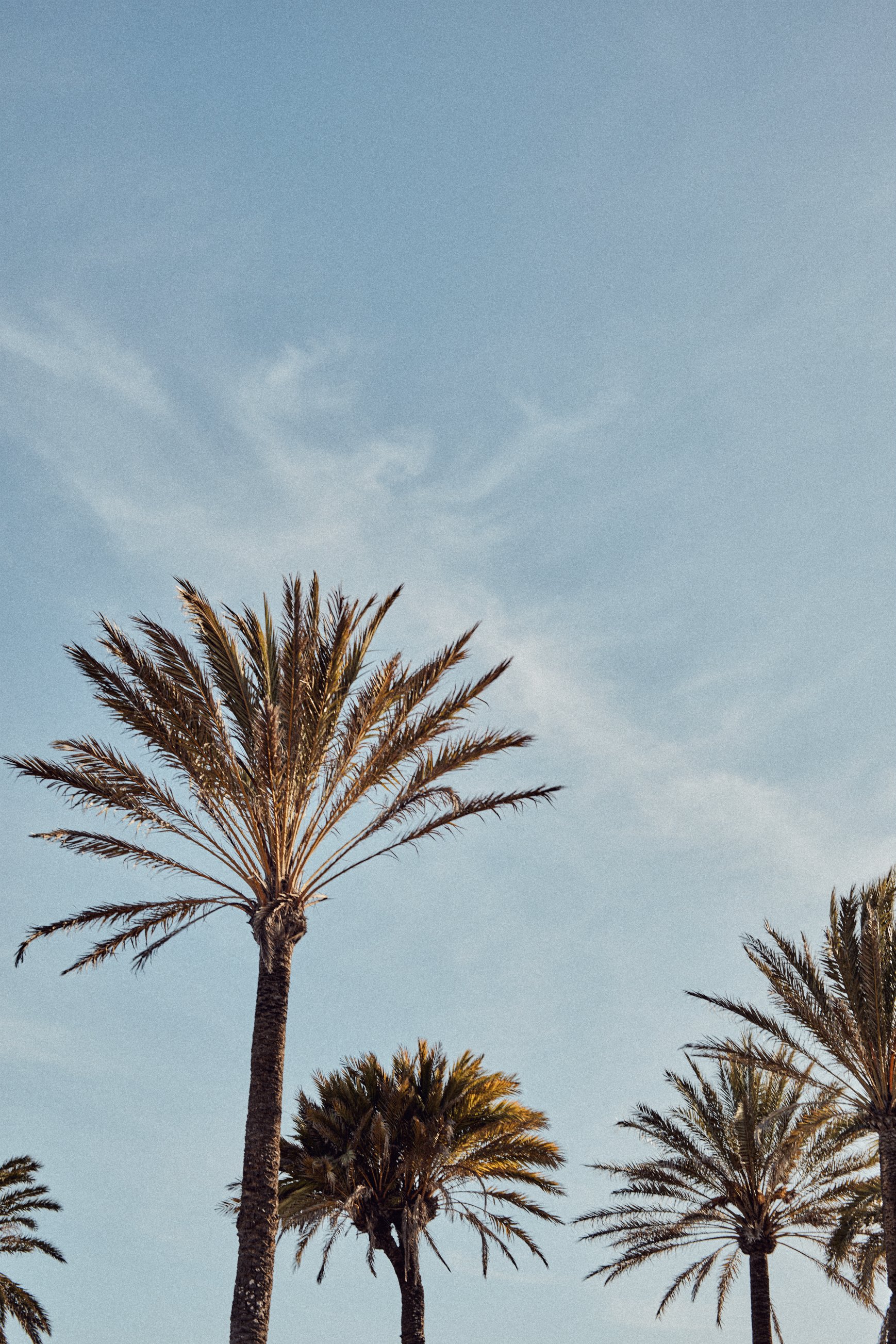 BeachHouse_Details_0025.jpg