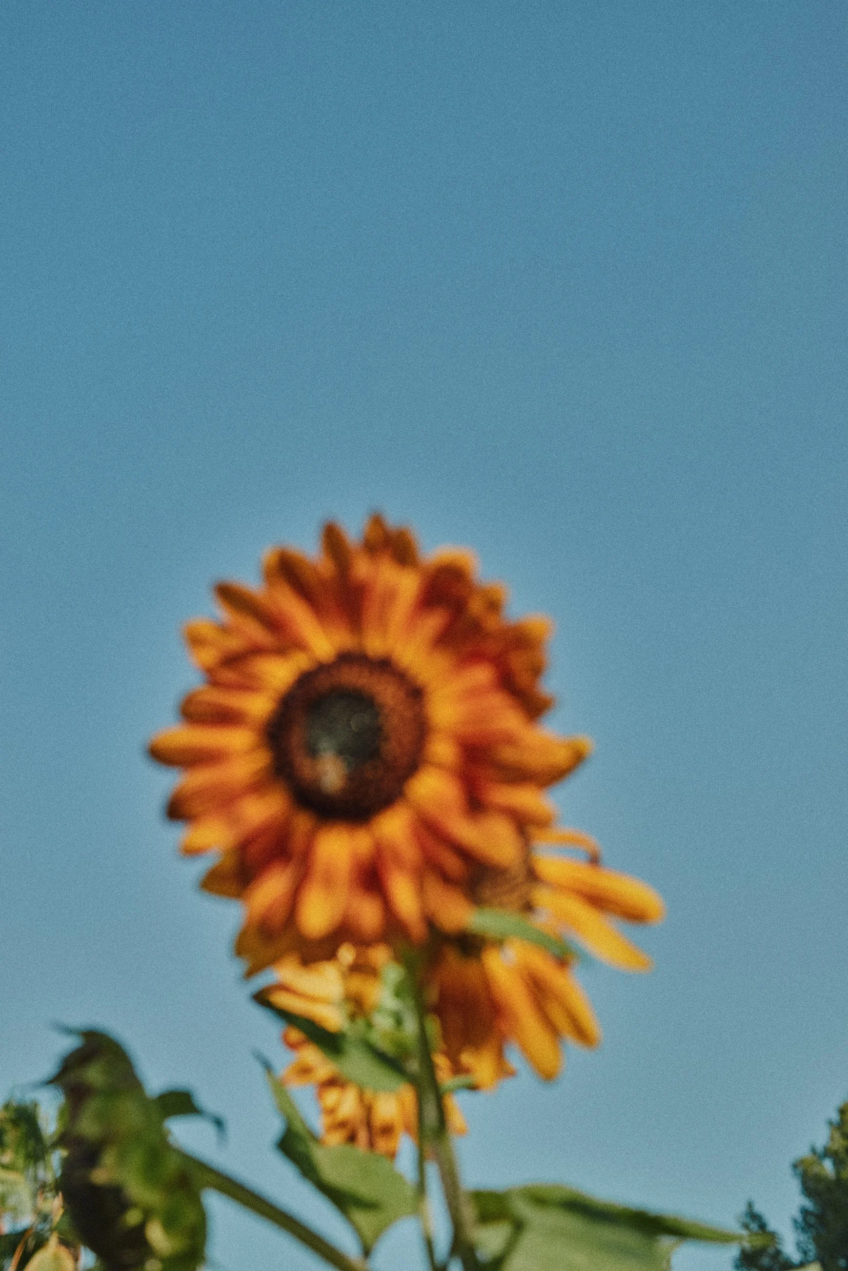 Garden_036.jpg