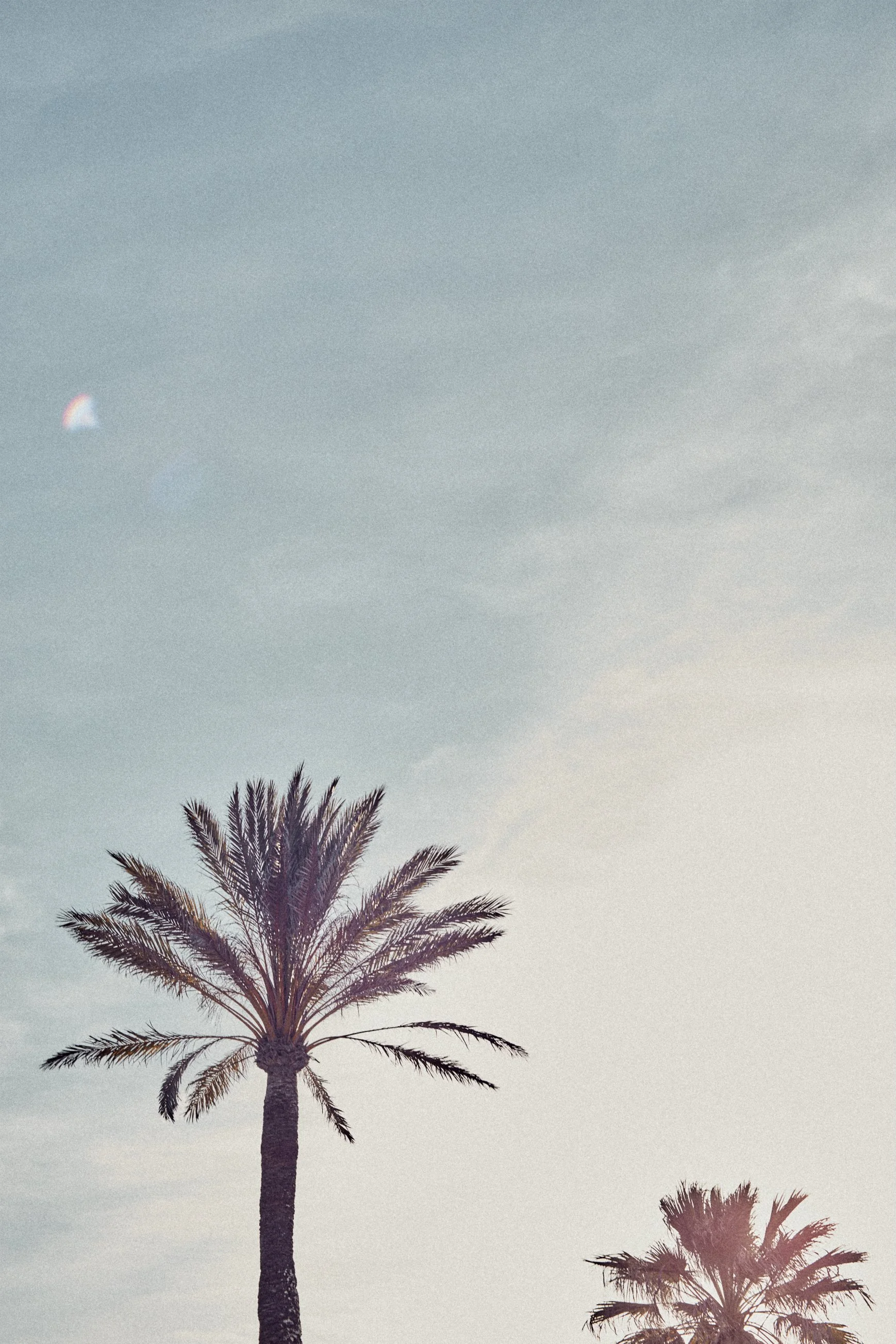 BeachHouse_Details_0024.jpg