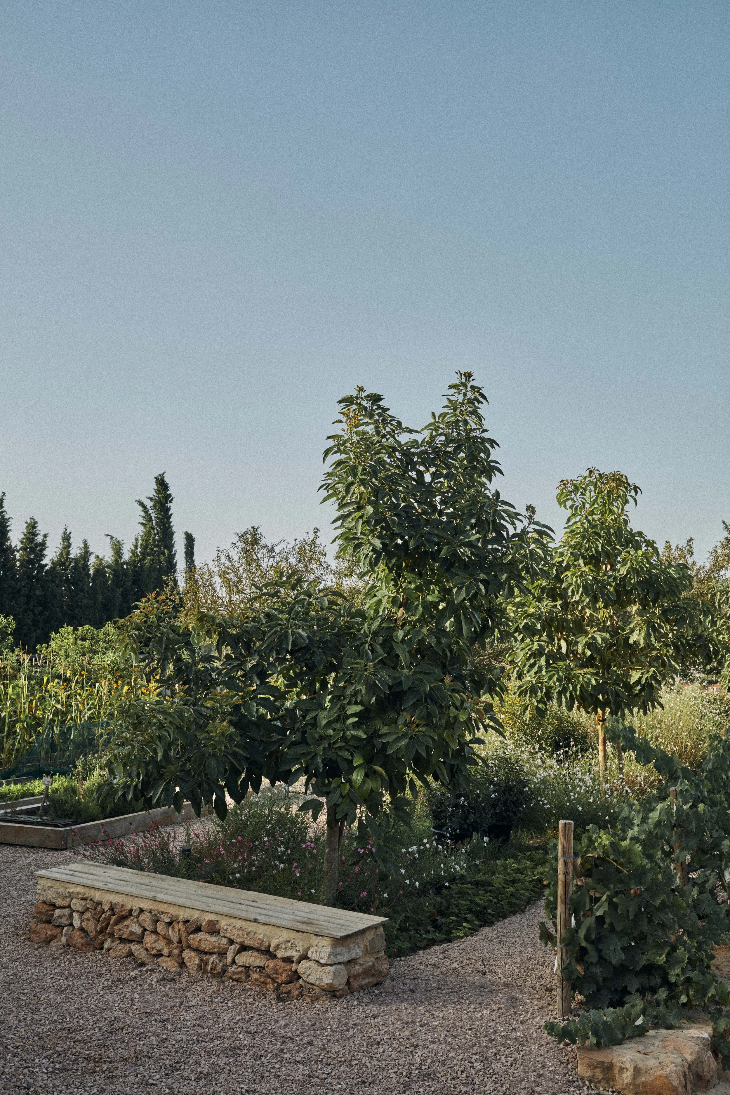 Garden_003.jpg