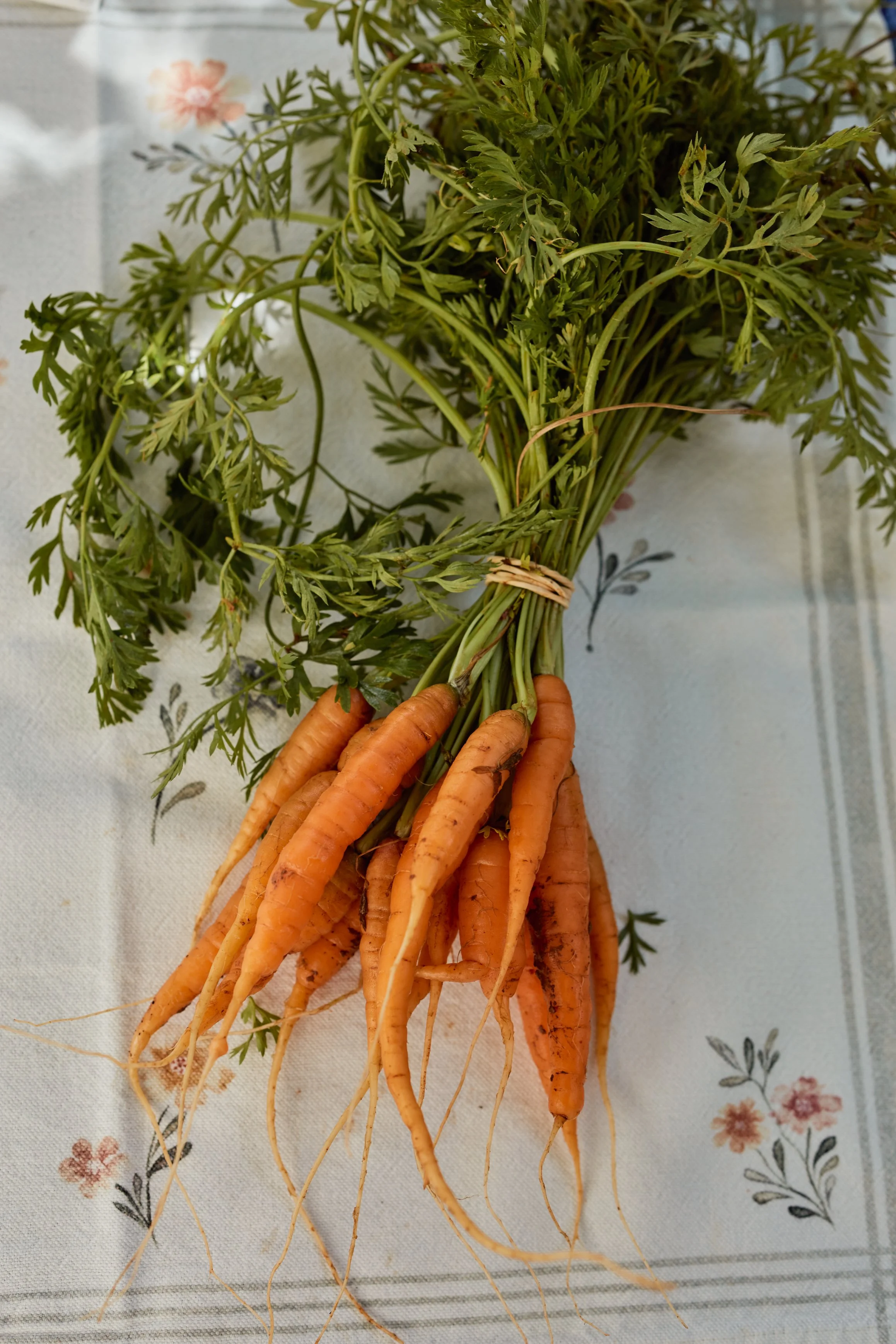 LaPaloma_Ingredients_0027.jpg