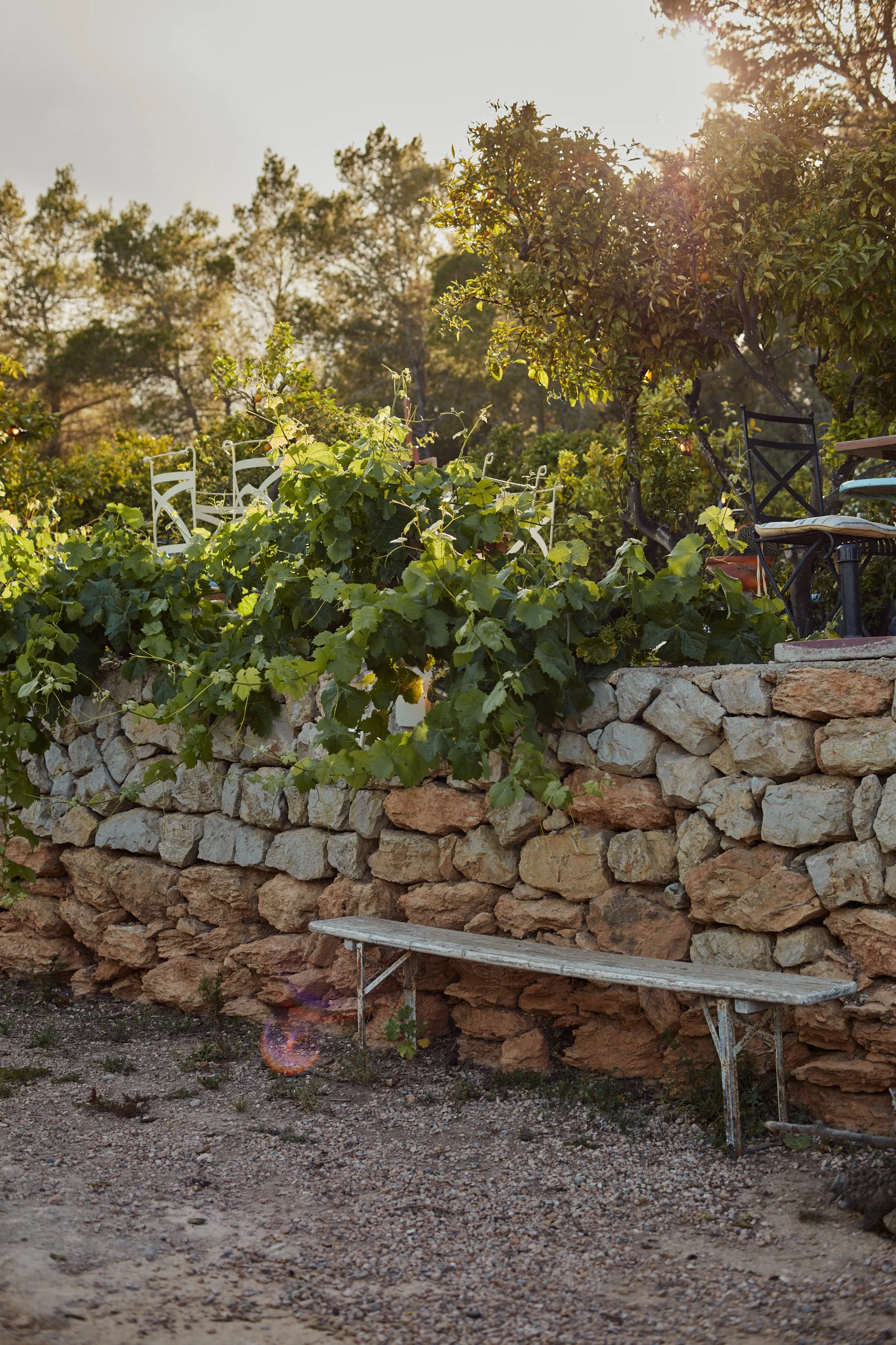 LaPaloma_Garden_0093.jpg