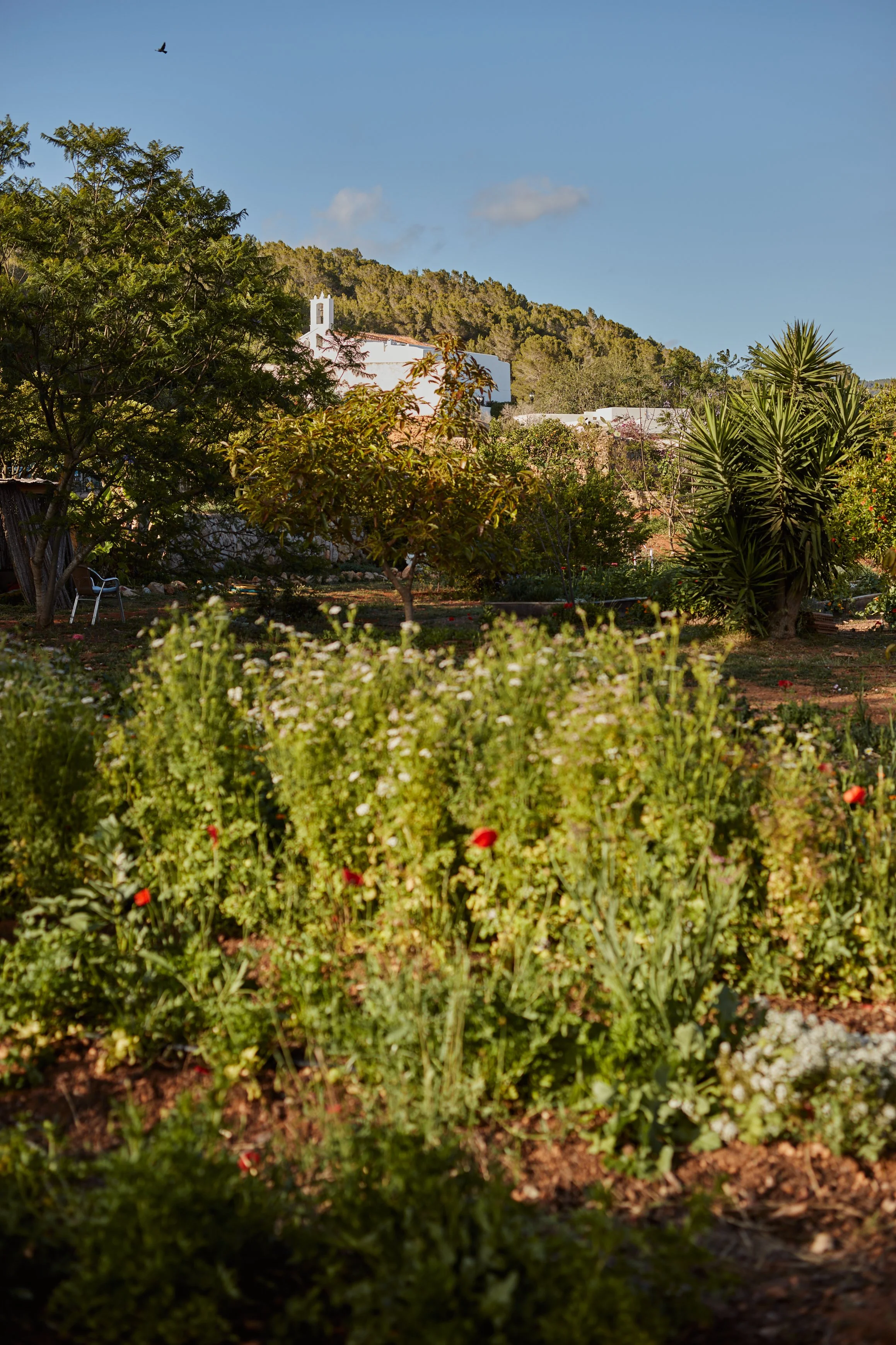 LaPaloma_Garden_0048.jpg