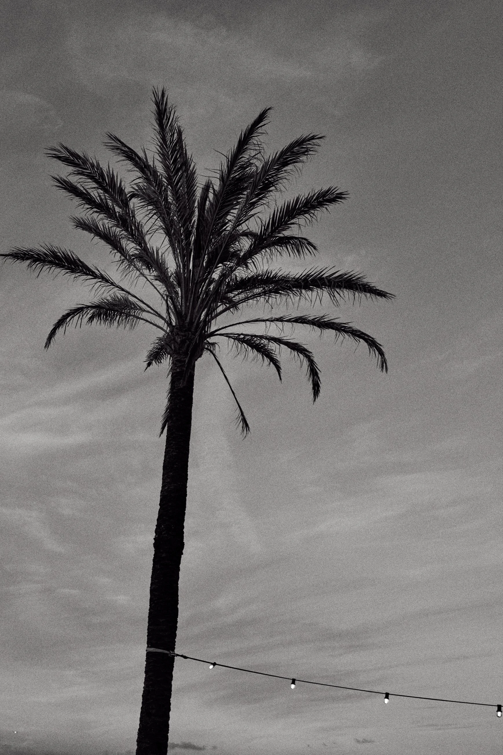 BeachHouse_Details_0055 1.jpg