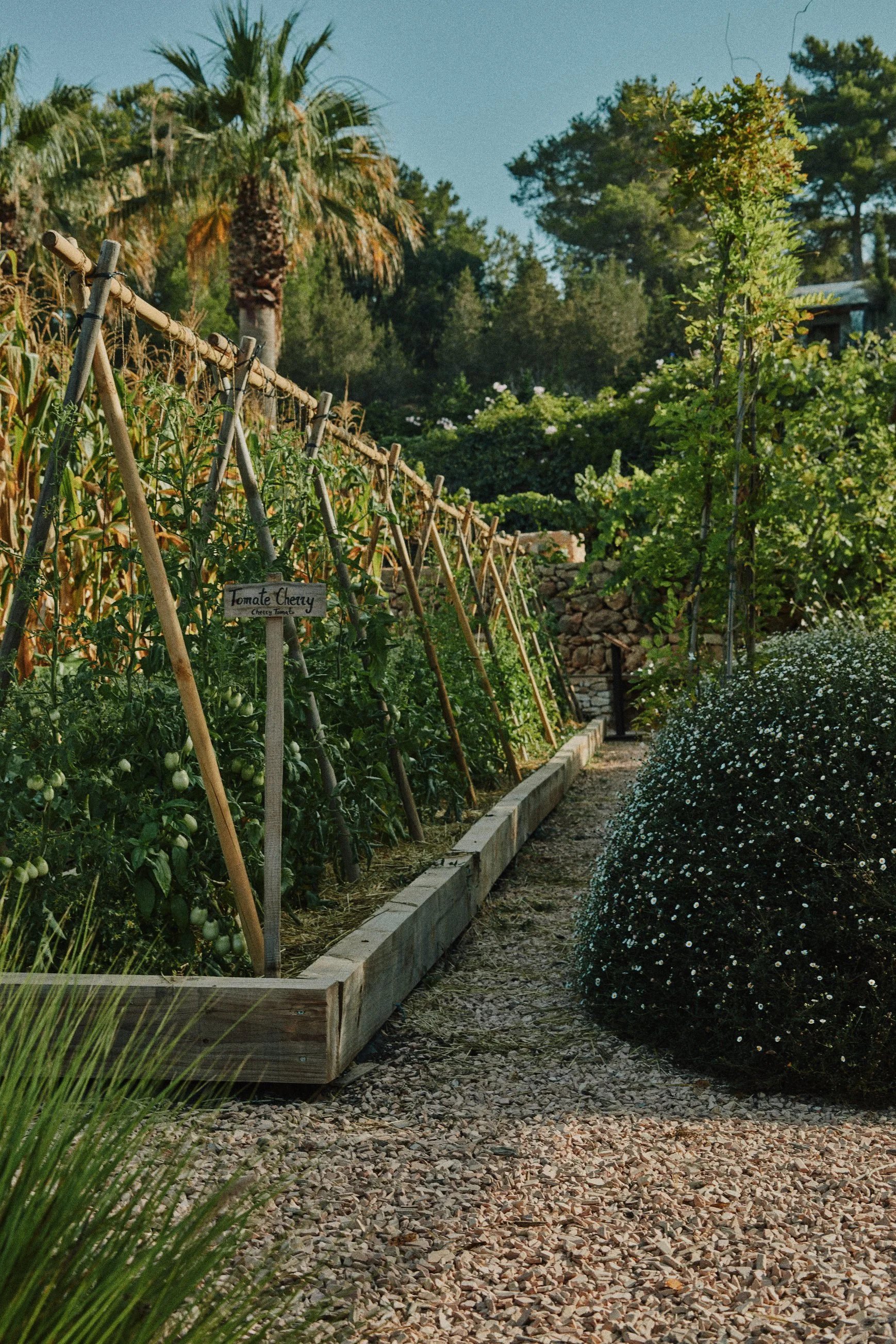 Garden_033.jpg