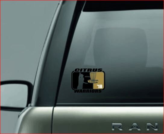 SPLIT IMAGE DECAL, Frisbee