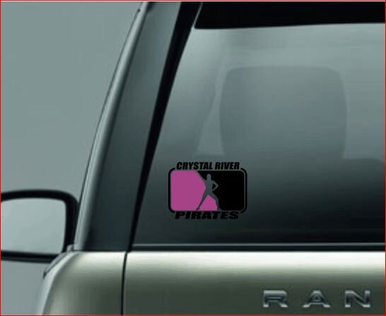 SPLIT IMAGE DECAL, Cheer