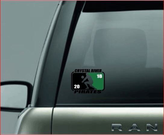 SPLIT IMAGE DECAL, Volleyball