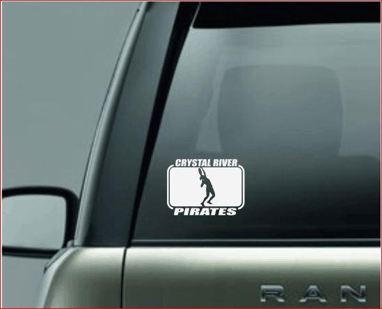 SPLIT IMAGE DECAL, Tennis